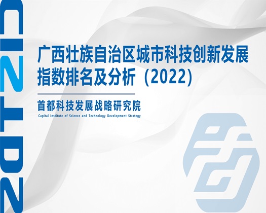 国产高中生性爱视频【成果发布】广西壮族自治区城市科技创新发展指数排名及分析（2022）